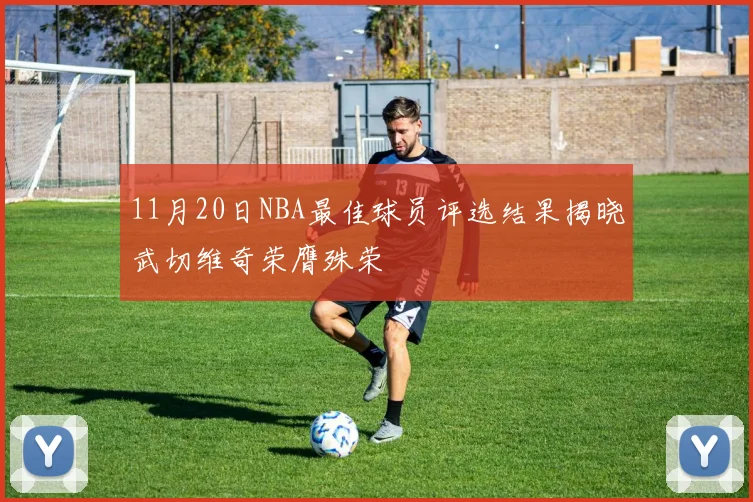 11月20日NBA最佳球员评选结果揭晓武切维奇荣膺殊荣