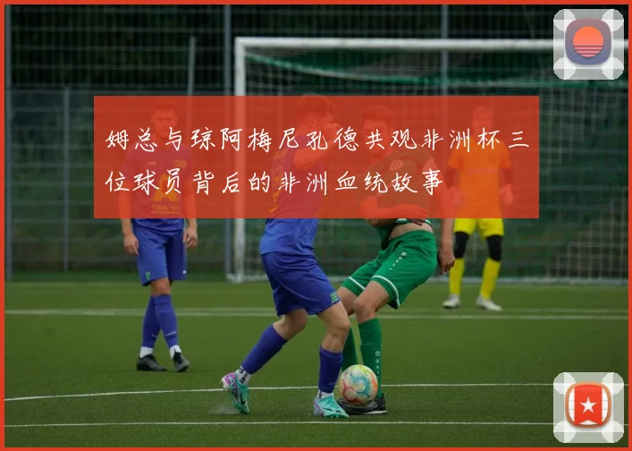 姆总与琼阿梅尼孔德共观非洲杯三位球员背后的非洲血统故事