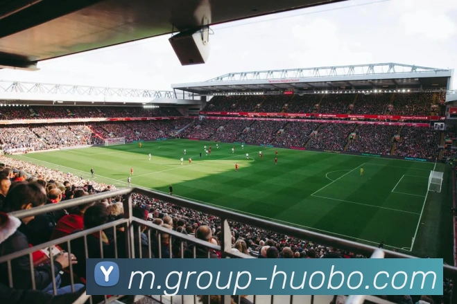 火博体育平台生态图