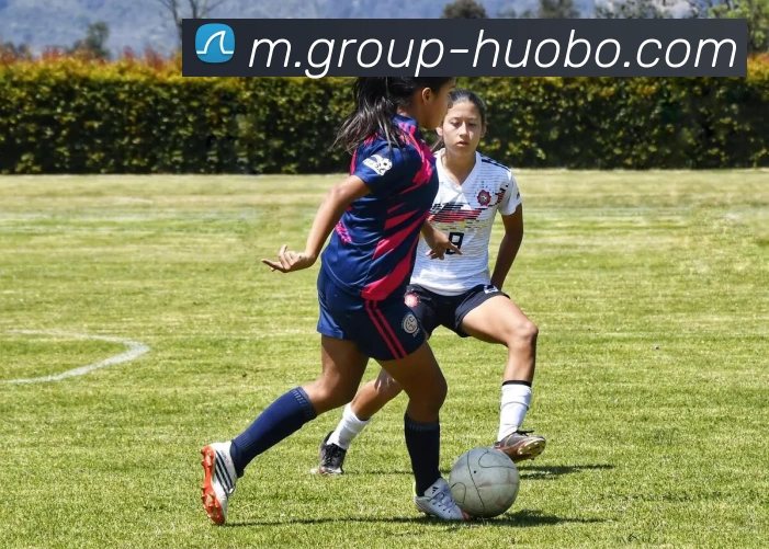 火博体育APP 封面图